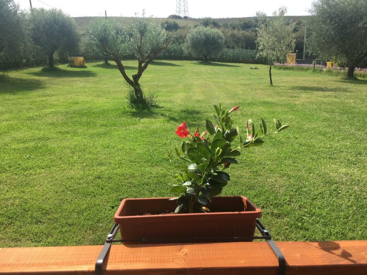 La Rosa Del Lago Bracciano  Exterior photo